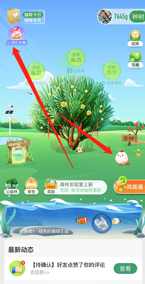 支付宝蚂蚁庄园5周年回顾在哪看