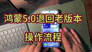 华为鸿蒙5.0如何退回原系统