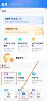 自然人电子税务局app怎么查询收入纳税明细