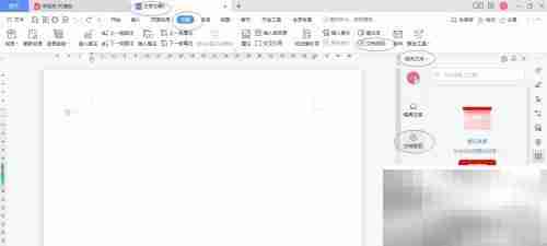 WPS文字2022文档发现设置