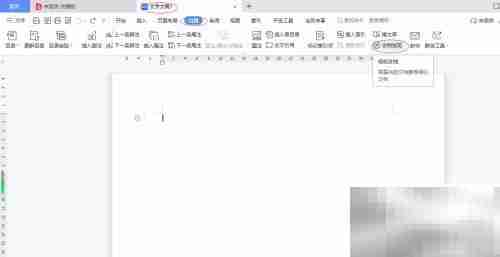 WPS文字2022文档发现设置