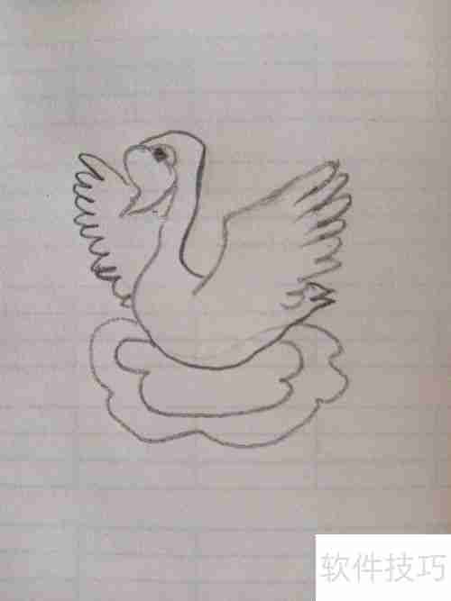 学会这招,轻松画出优雅天鹅简笔画