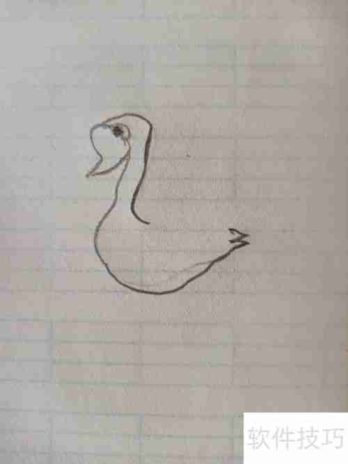 学会这招,轻松画出优雅天鹅简笔画