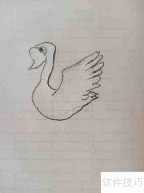 学会这招,轻松画出优雅天鹅简笔画