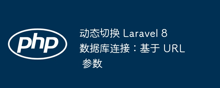 动态切换 Laravel 8 数据库连接:基于 URL 参数
