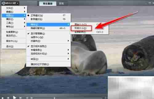 RealPlayer视频放大技巧