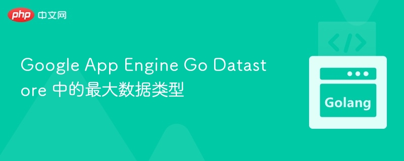 Google App Engine Go Datastore 中的最大数据类型