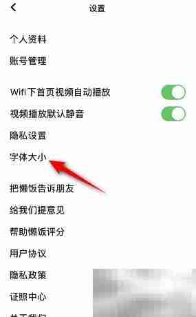 懒饭字体大小修改方法