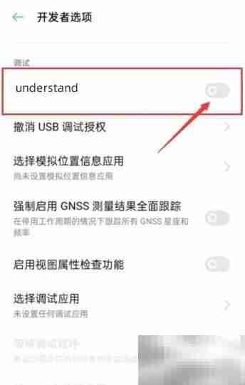 understand用法解析