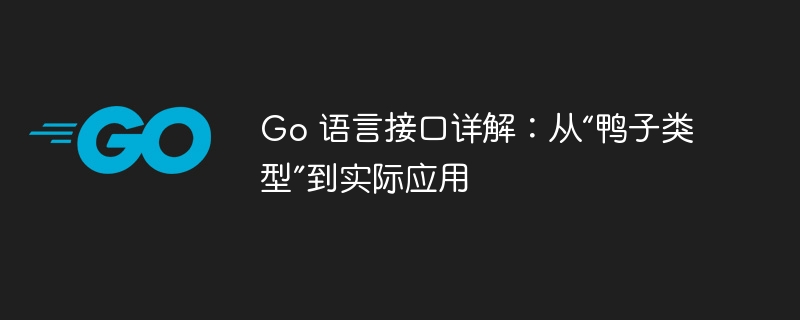 Go 语言接口详解:从“鸭子类型”到实际应用