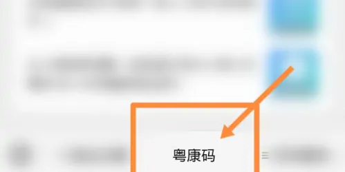 粤省事粤康码改姓名方法详解