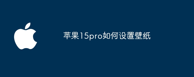 苹果15pro如何设置壁纸
