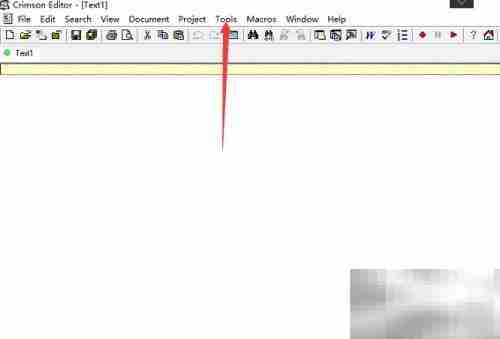 Crimson Editor显示制表符设置方法