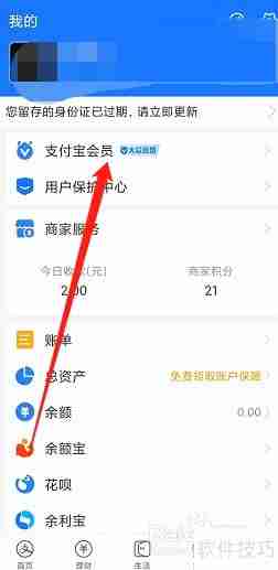 支付领取宝马踏飞燕皮肤指南