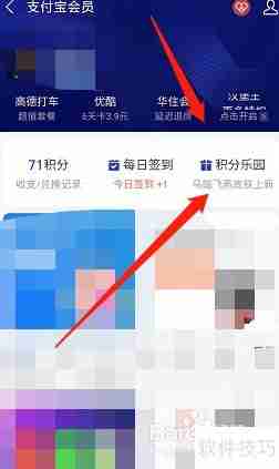 支付领取宝马踏飞燕皮肤指南