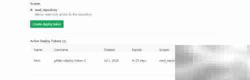 GitLab项目Deploy Tokens配置指南