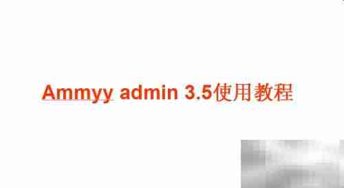 Ammyy Admin 3.5使用指南