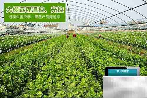 APP远程控制电源方法