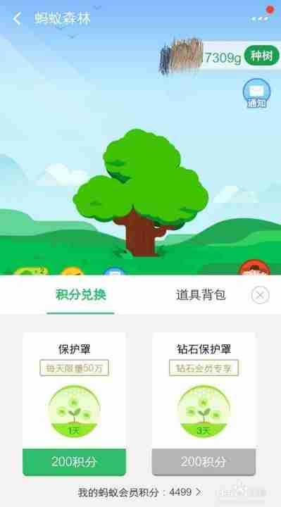 蚂蚁森林有什么用