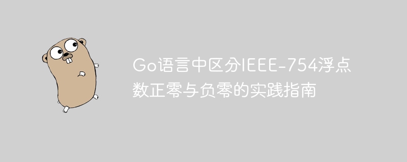 Go语言中区分IEEE-754浮点数正零与负零的实践指南