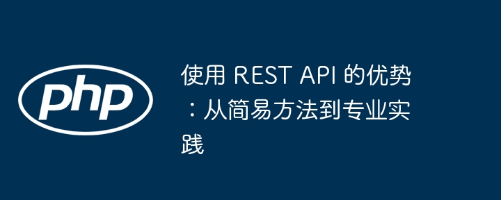使用 REST API 的优势:从简易方法到专业实践