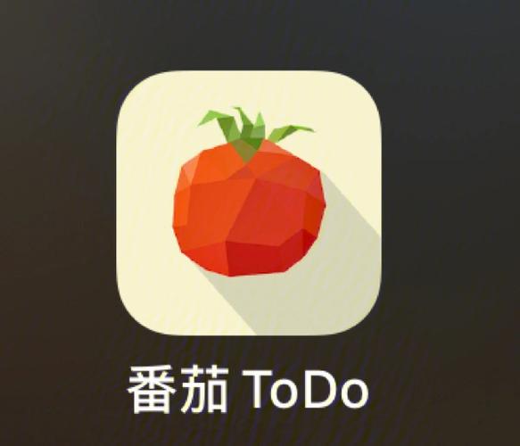如何利用番茄ToDo的统计图表进行复盘_番茄ToDo数据统计图表分析方法
