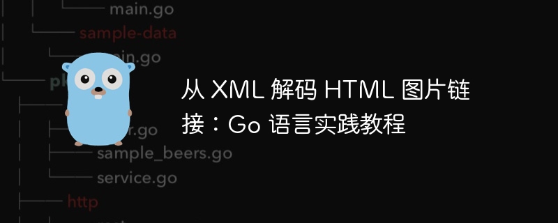 从 XML 解码 HTML 图片链接:Go 语言实践教程
