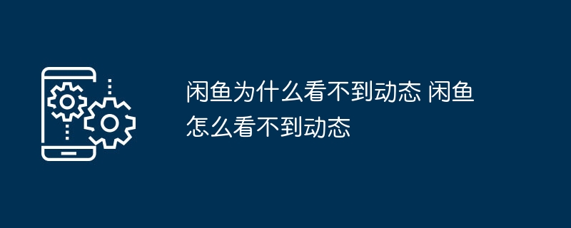 闲鱼为什么看不到动态 闲鱼怎么看不到动态
