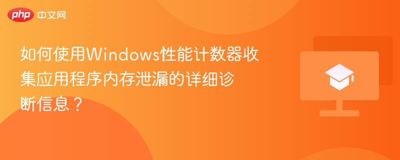 如何使用Windows性能计数器收集应用程序内存泄漏的详细诊断信息?