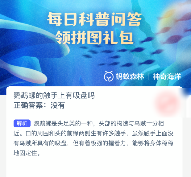 鹦鹉螺的触手上有吸盘吗