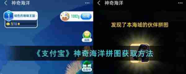 支付宝神奇海洋拼图怎么获取 获取方法