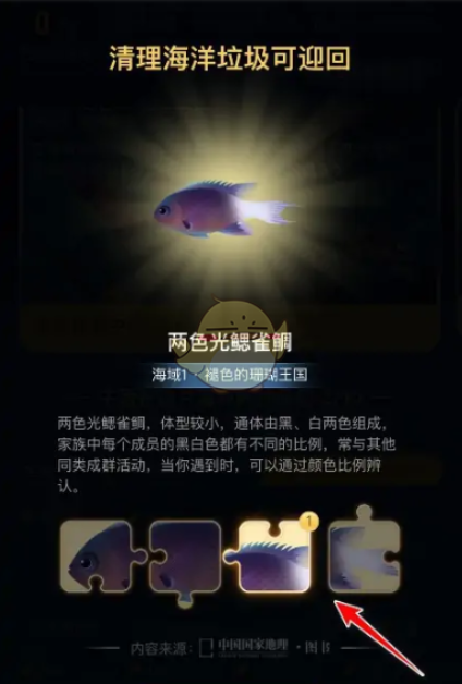 支付宝神奇海洋拼图怎么获取 获取方法