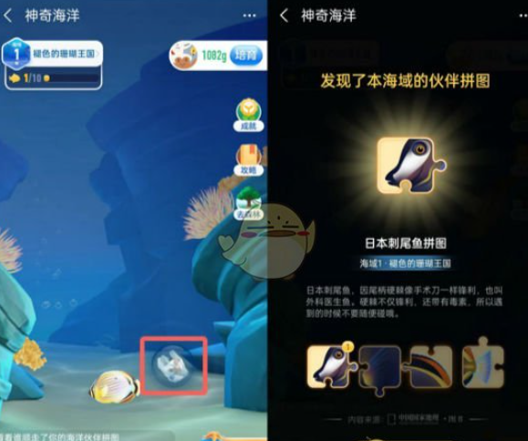 支付宝神奇海洋拼图怎么获取 获取方法