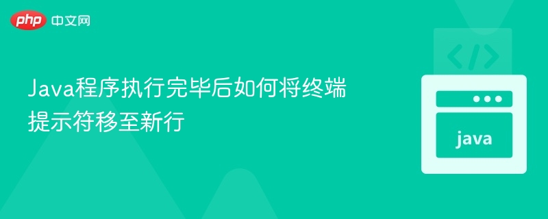 Java程序执行完毕后如何将终端提示符移至新行