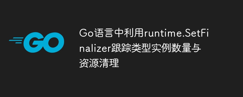 Go语言中利用runtime.SetFinalizer跟踪类型实例数量与资源清理
