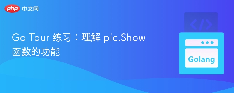 Go Tour 练习:理解 pic.Show 函数的功能