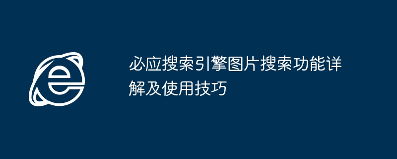 必应搜索引擎图片搜索功能详解及使用技巧