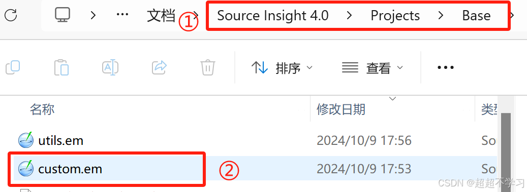 source insight怎么添加注释?source insight添加注释的方法