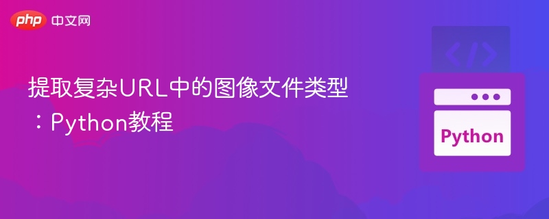 提取复杂URL中的图像文件类型:Python教程