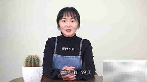 ace的含义解析