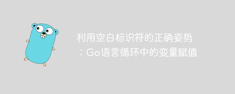 利用空白标识符的正确姿势:Go语言循环中的变量赋值