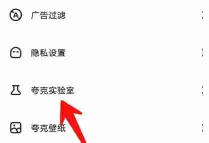 夸克浏览器彩蛋如何进入