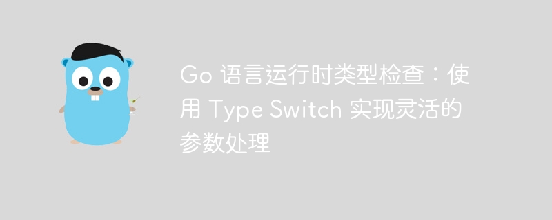 Go 语言运行时类型检查:使用 Type Switch 实现灵活的参数处理
