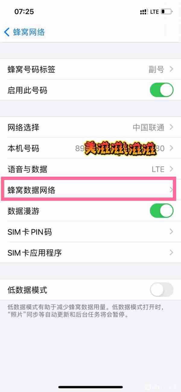 苹果手机物联卡lte热点怎么开