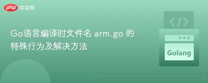 Go语言编译时文件名 arm.go 的特殊行为及解决方法