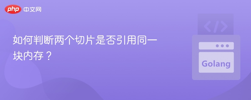 如何判断两个切片是否引用同一块内存?