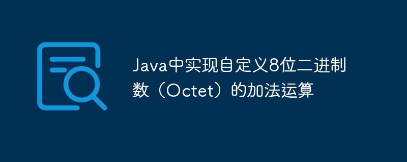 Java中实现自定义8位二进制数(Octet)的加法运算