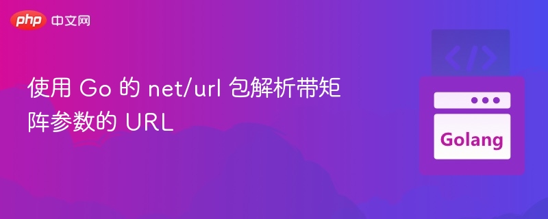 使用 Go 的 net/url 包解析带矩阵参数的 URL