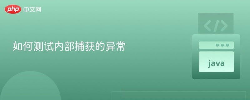 如何测试内部捕获的异常