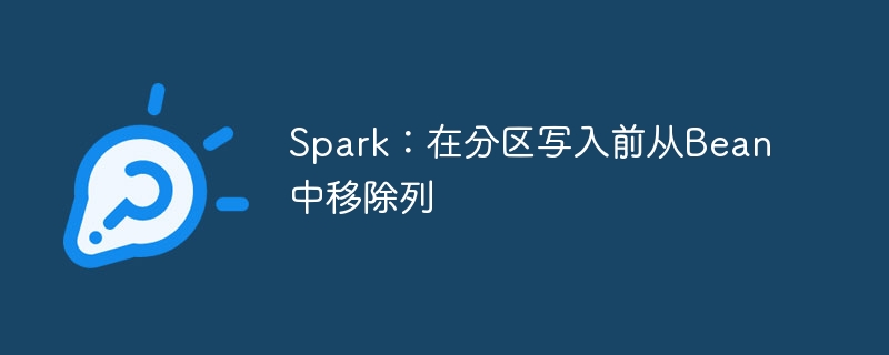Spark:在分区写入前从Bean中移除列